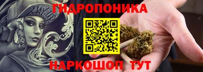 спиды Шахты